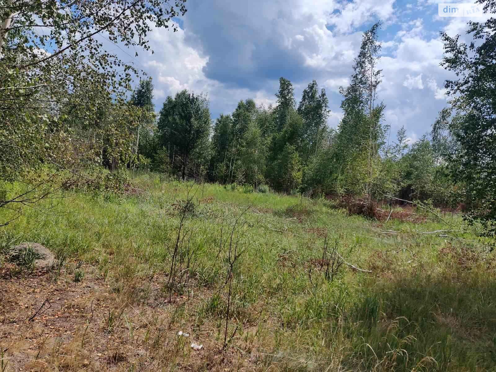 Земельный участок коммерческого назначения в Болярке, площадь 24.9977 Га фото 1