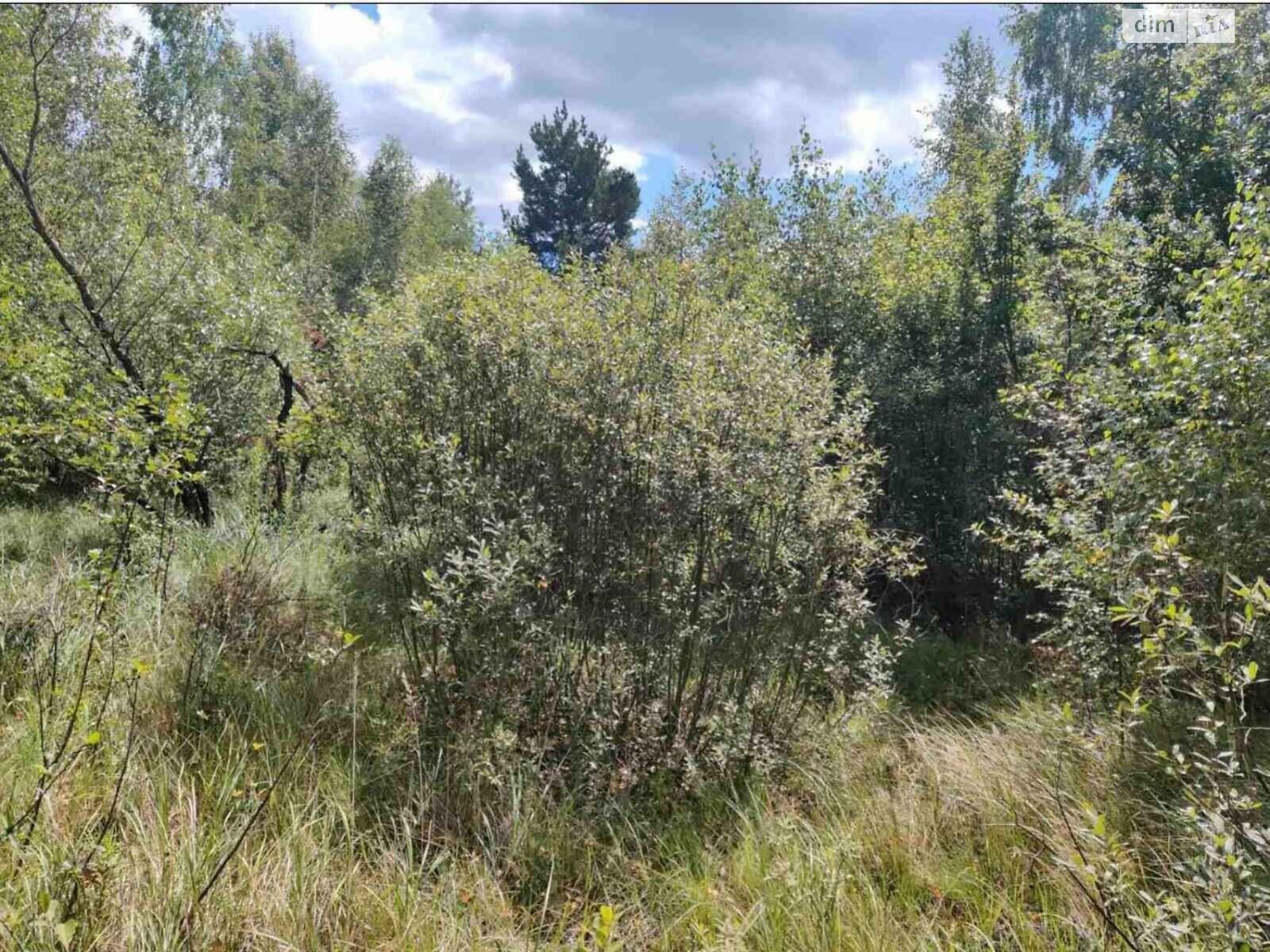 Земельный участок коммерческого назначения в Болярке, площадь 16.8638 Га фото 1 Земельный участок коммерческого назначения в Болярке, площадь 16.8638 Га фото 1