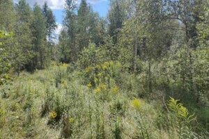 Земельный участок коммерческого назначения в Болярке, площадь 16.8638 Га фото 2 Земельный участок коммерческого назначения в Болярке, площадь 16.8638 Га фото 2