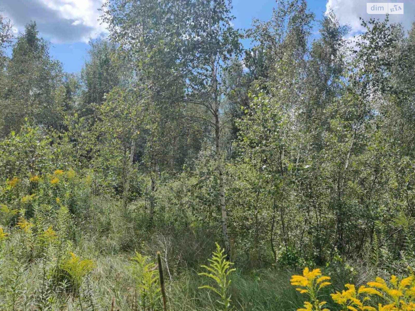 Земельный участок коммерческого назначения в Болярке, площадь 16.8638 Га фото 1 Земельный участок коммерческого назначения в Болярке, площадь 16.8638 Га фото 1