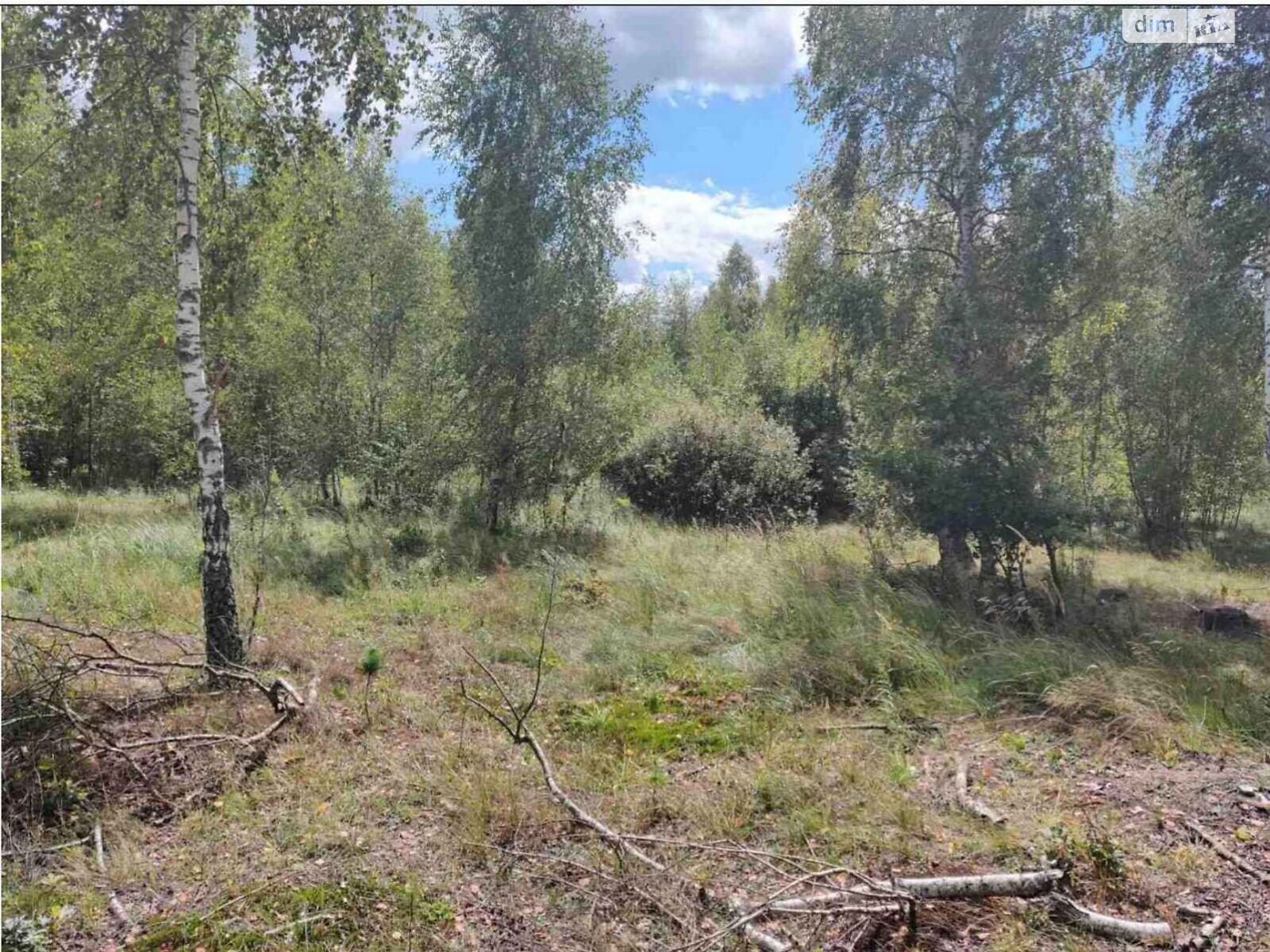 Земельный участок коммерческого назначения в Болярке, площадь 30.4454 Га фото 1