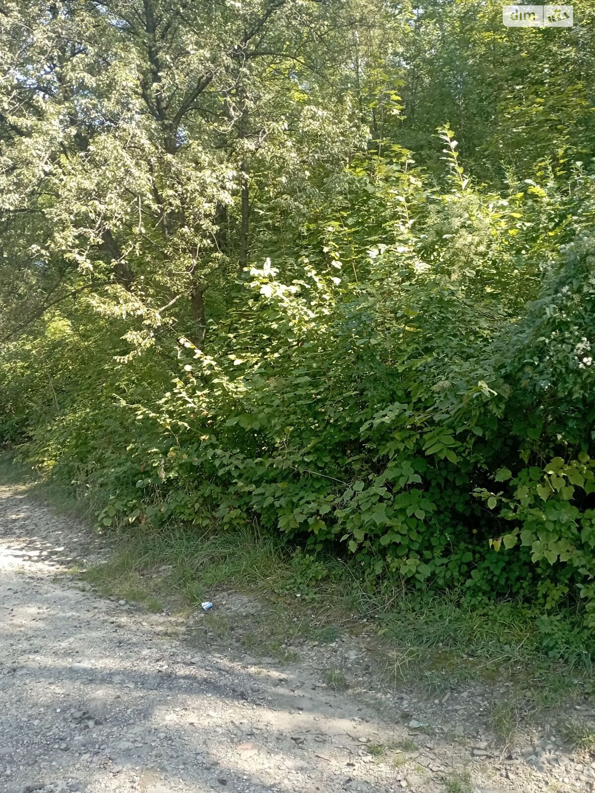 Земельна ділянка комерційного призначення в Бориславі, площа 0.0081 Га фото 1