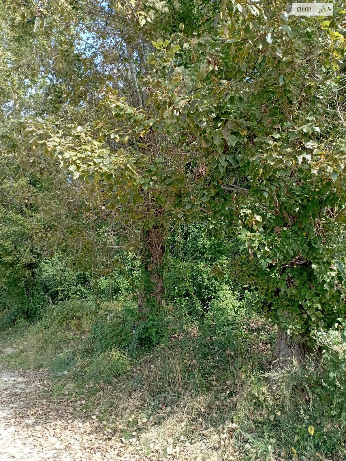 Земельна ділянка комерційного призначення в Бориславі, площа 0.0059 Га фото 1