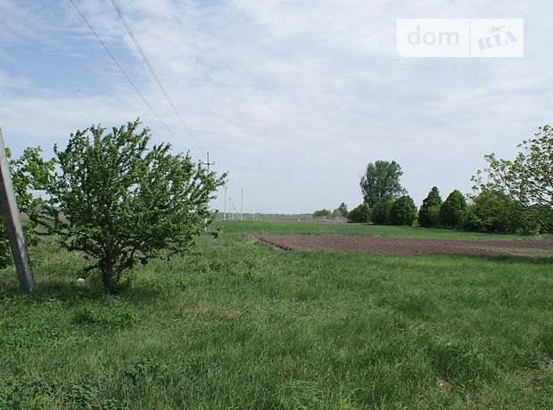 Продажа земли коммерческого назначение, Киевская, Борисполь, р‑н. Борисполь Продажа земли коммерческого назначение, Киевская, Борисполь, р‑н. Борисполь