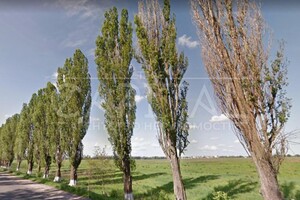 Земельна ділянка комерційного призначення в Мартусівці, площа 8820 соток фото 2