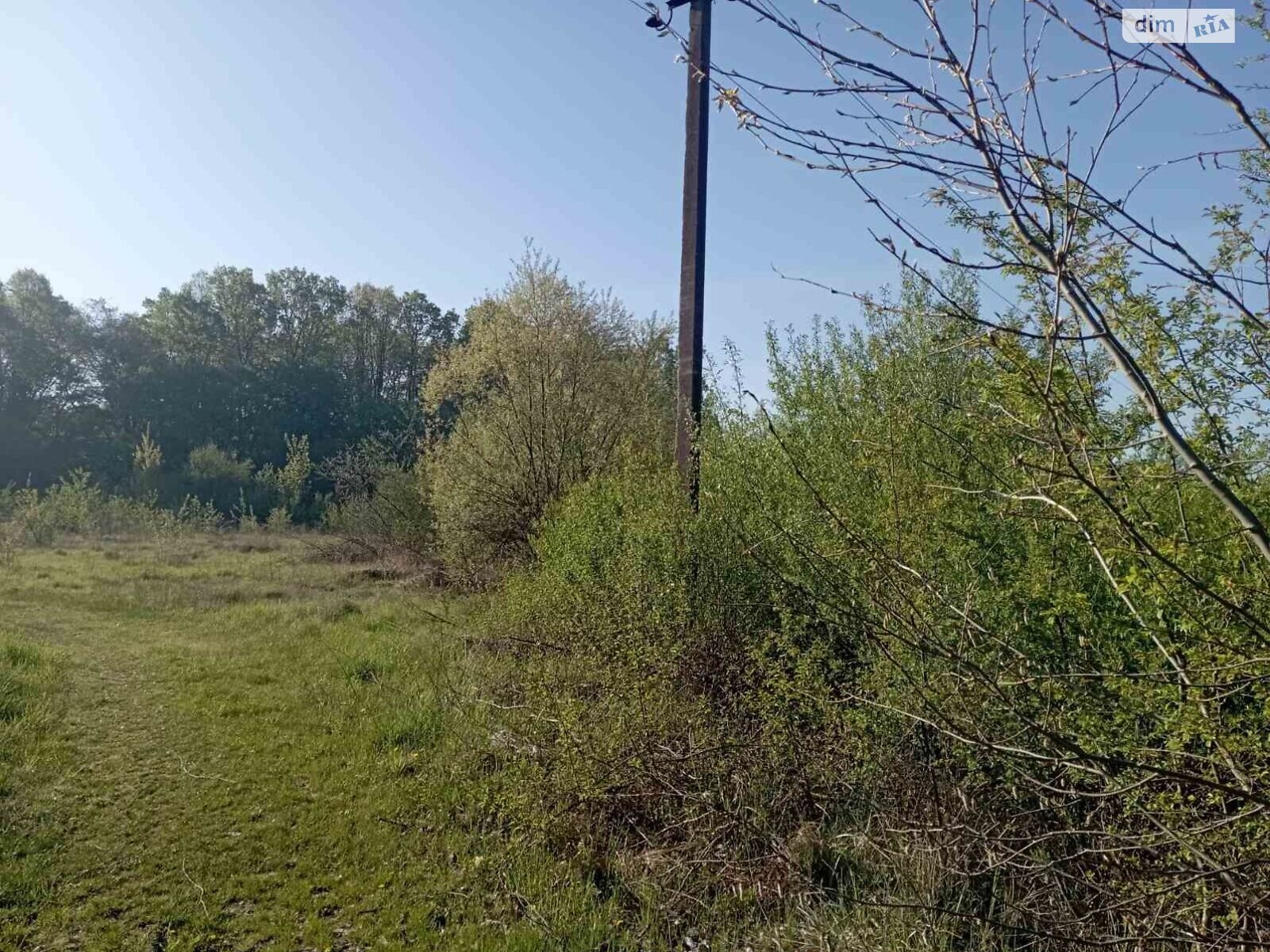 Земельна ділянка комерційного призначення в Бучалах, площа 1.3127 Га фото 1