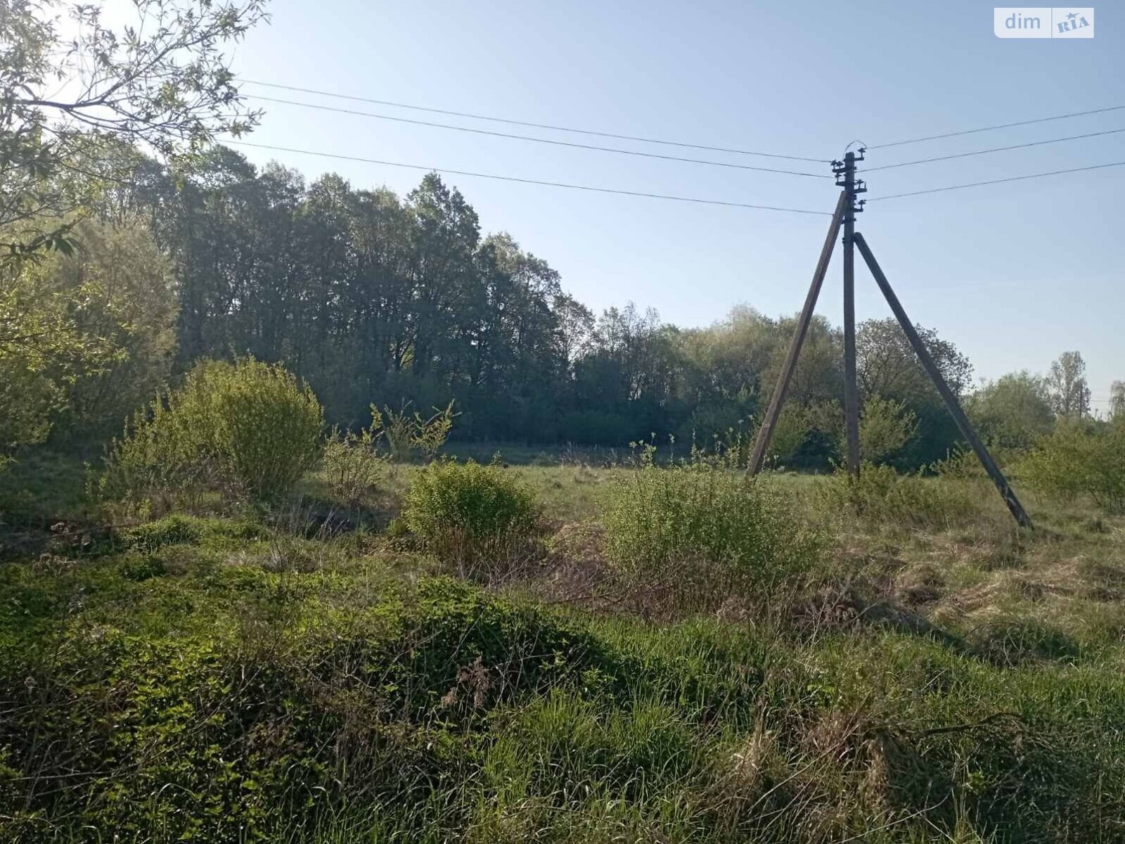 Земельна ділянка комерційного призначення в Бучалах, площа 1.3127 Га фото 1