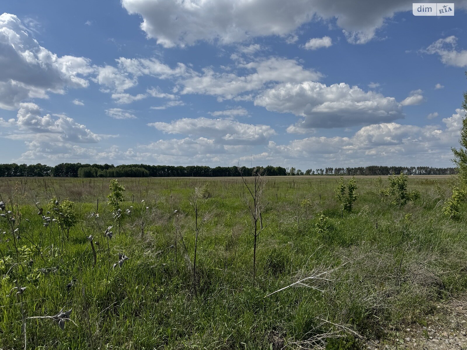 Земельна ділянка комерційного призначення в Бузовій, площа 47 Га фото 1 Земельна ділянка комерційного призначення в Бузовій, площа 47 Га фото 1