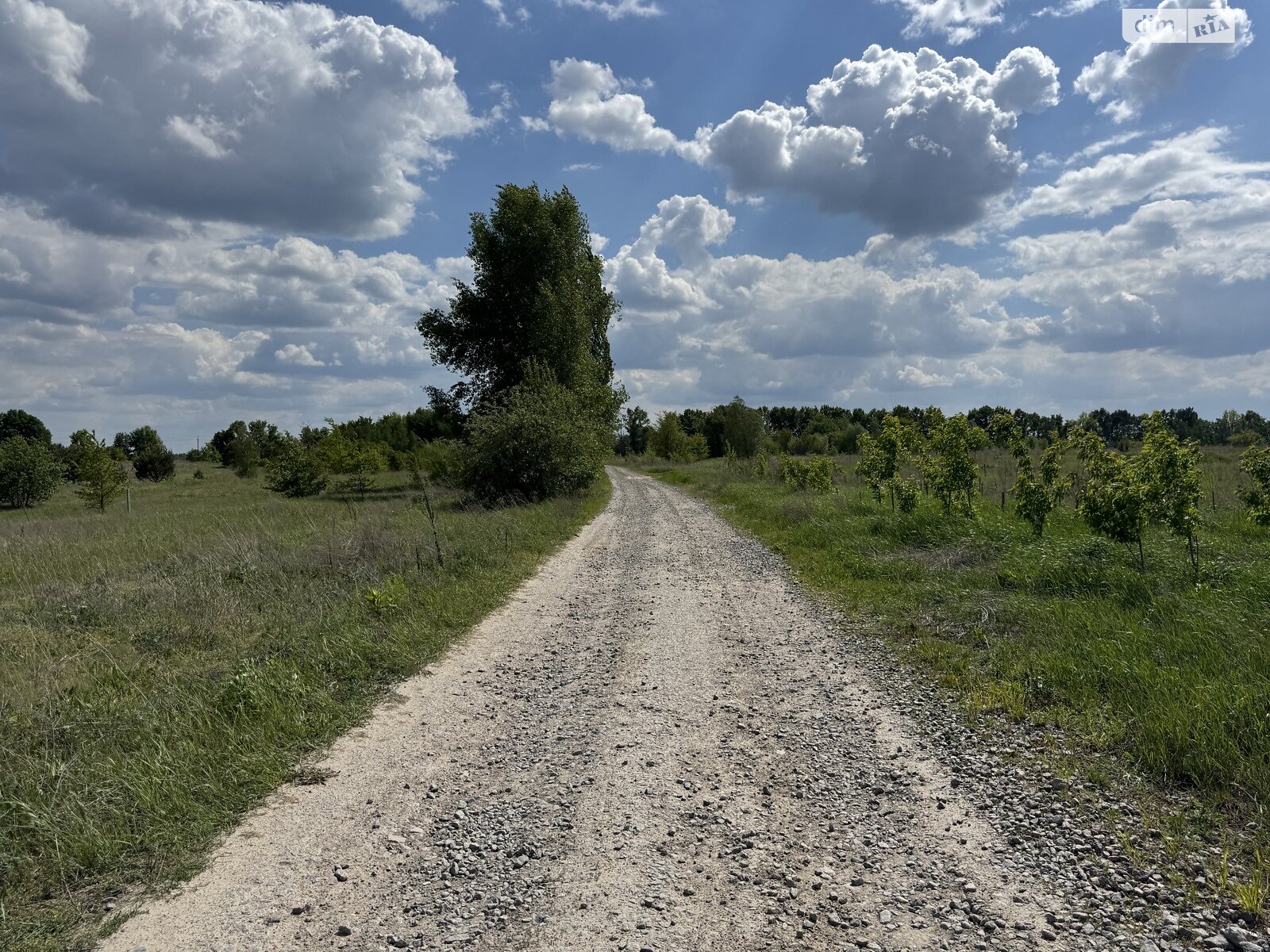 Земельна ділянка комерційного призначення в Бузовій, площа 47 Га фото 1 Земельна ділянка комерційного призначення в Бузовій, площа 47 Га фото 1