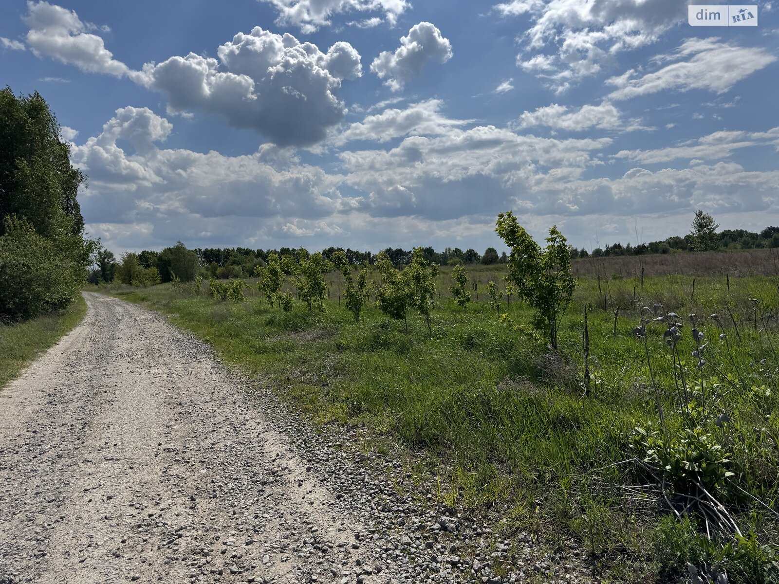 Земельна ділянка комерційного призначення в Бузовій, площа 47 Га фото 1 Земельна ділянка комерційного призначення в Бузовій, площа 47 Га фото 1