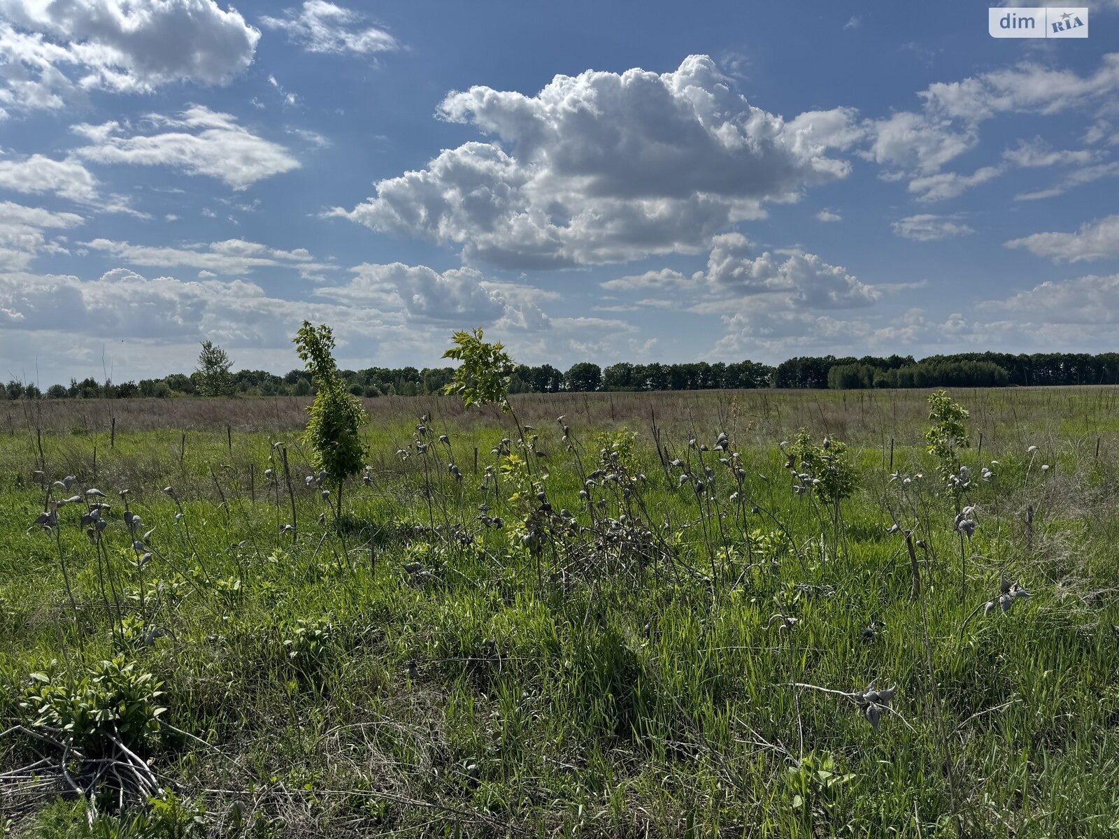 Земельна ділянка комерційного призначення в Бузовій, площа 47 Га фото 1 Земельна ділянка комерційного призначення в Бузовій, площа 47 Га фото 1