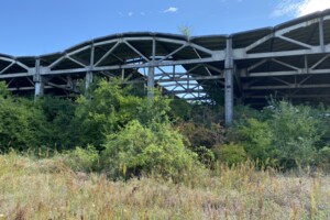 Земельна ділянка комерційного призначення в Чепі, площа 336 соток фото 2