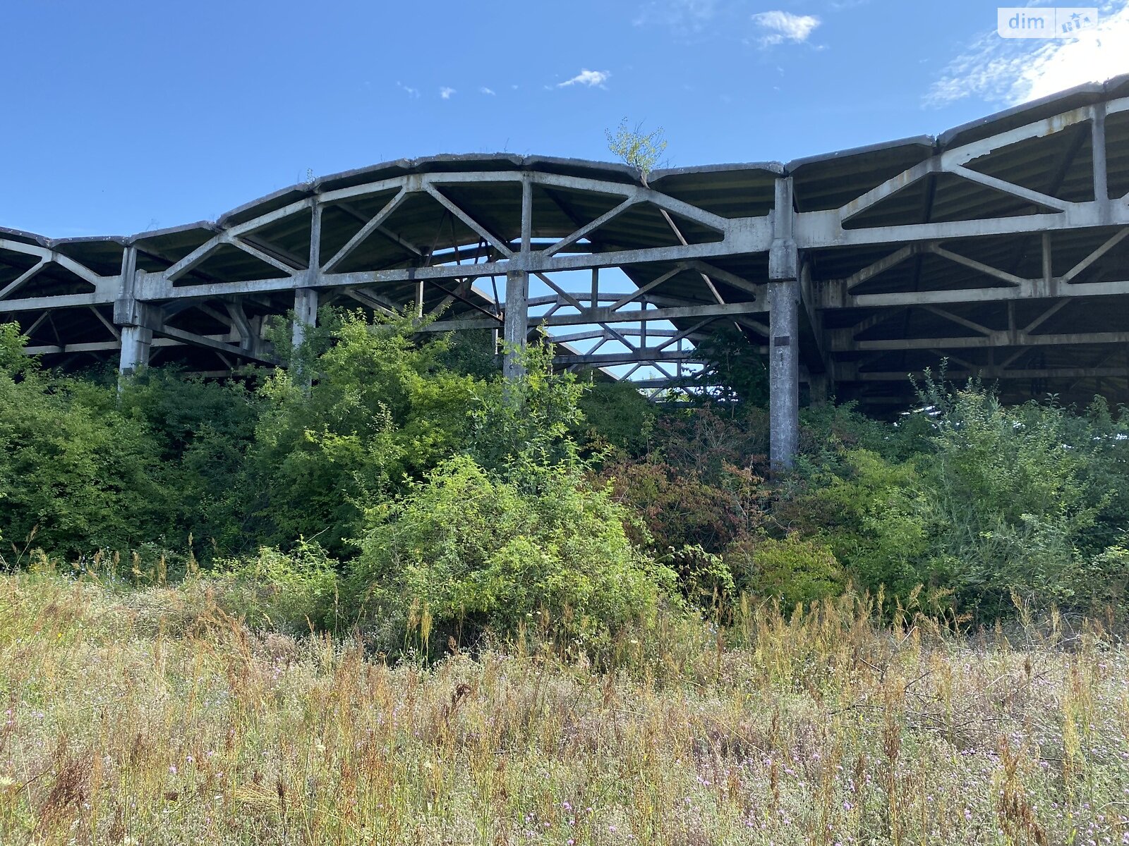 Земельна ділянка комерційного призначення в Чепі, площа 336 соток фото 1