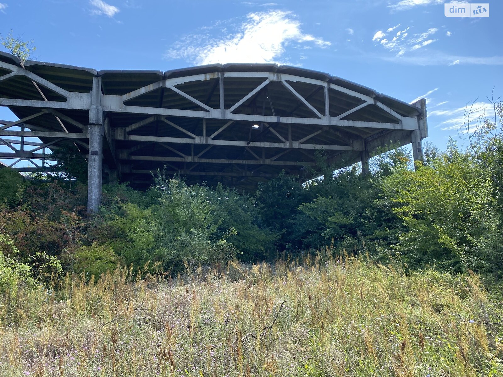 Земельна ділянка комерційного призначення в Чепі, площа 336 соток фото 1