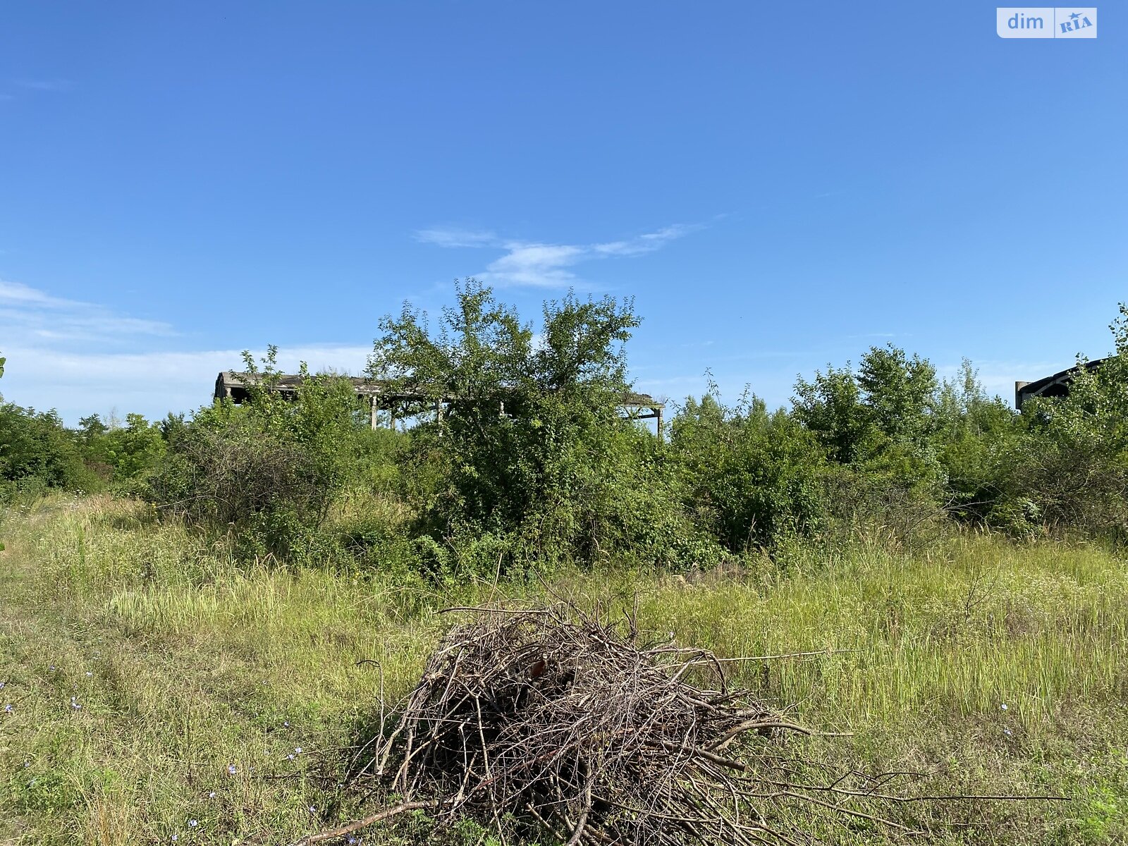 Земельна ділянка комерційного призначення в Чепі, площа 336 соток фото 1