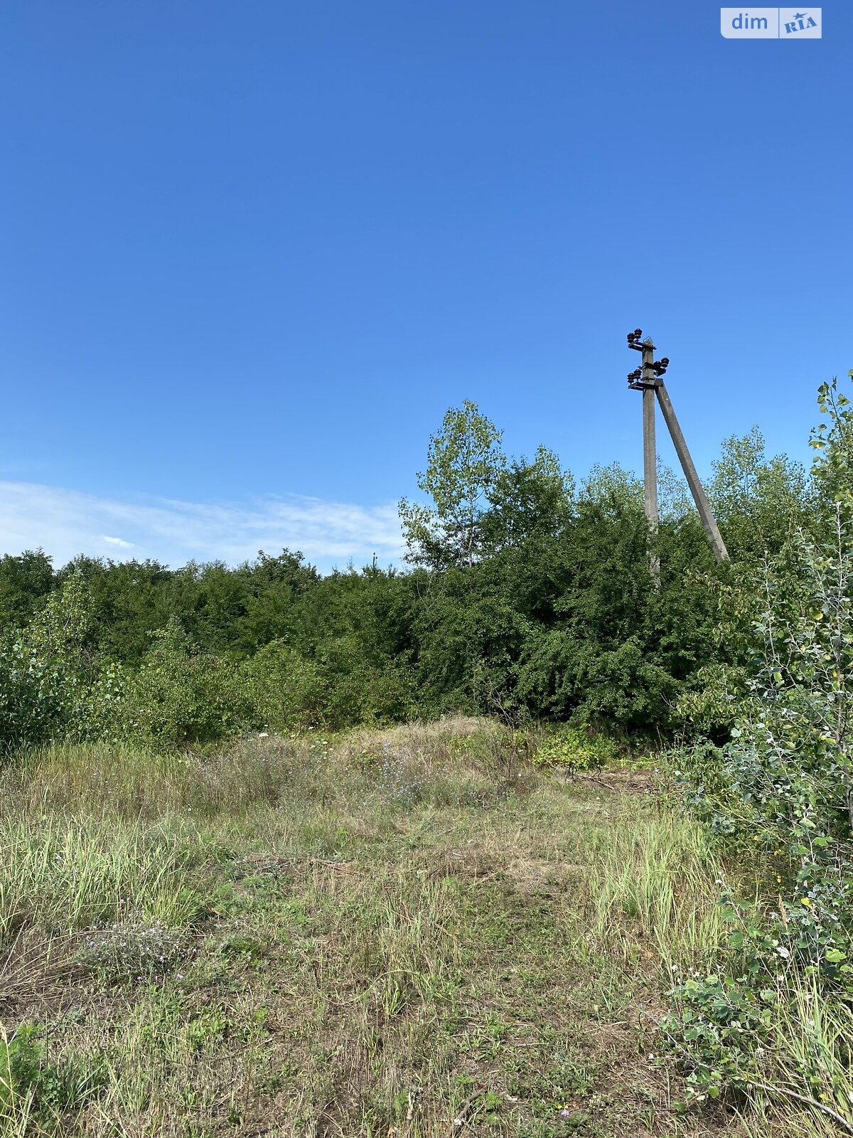 Земельна ділянка комерційного призначення в Чепі, площа 336 соток фото 1