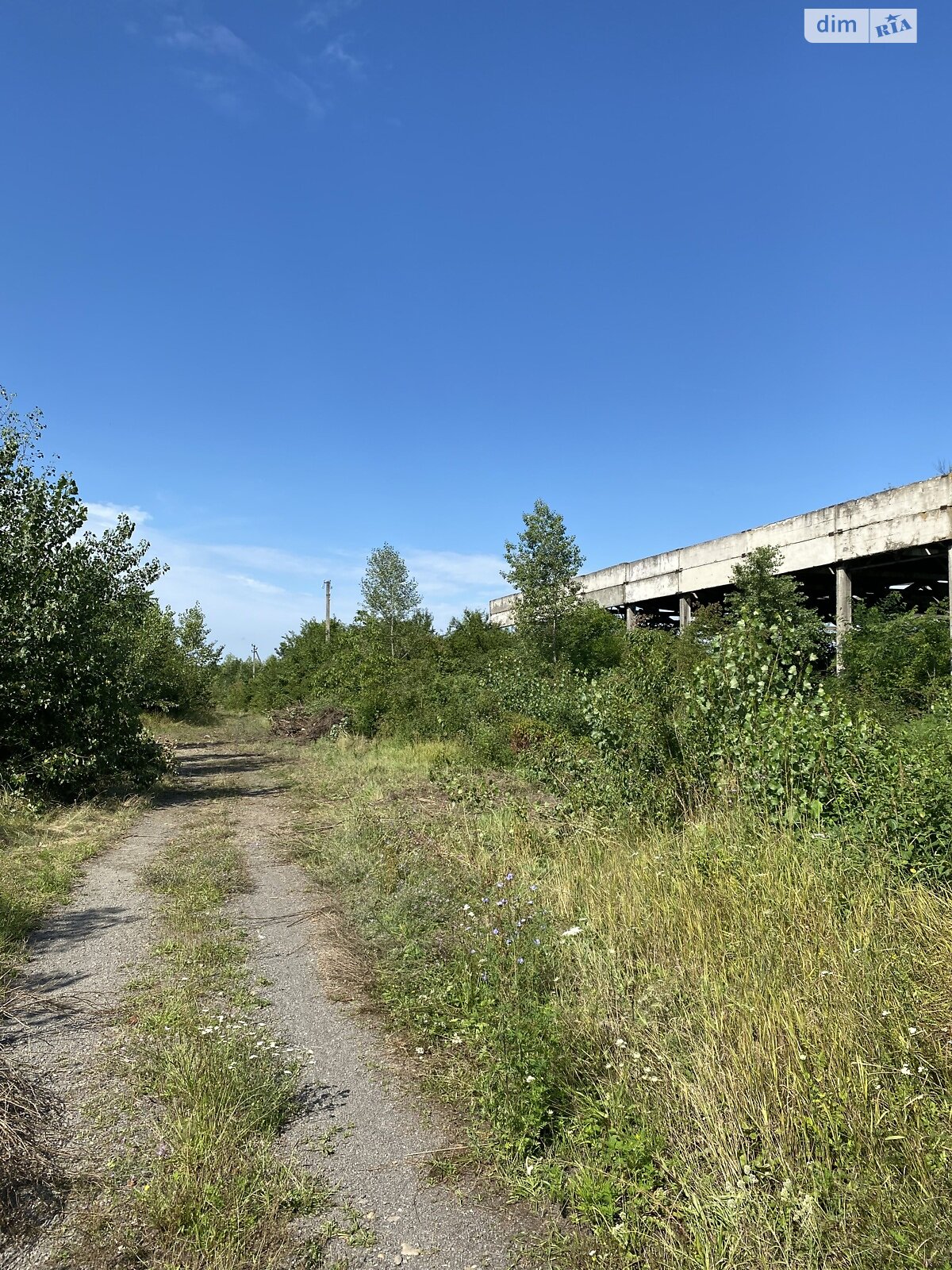Земельна ділянка комерційного призначення в Чепі, площа 336 соток фото 1
