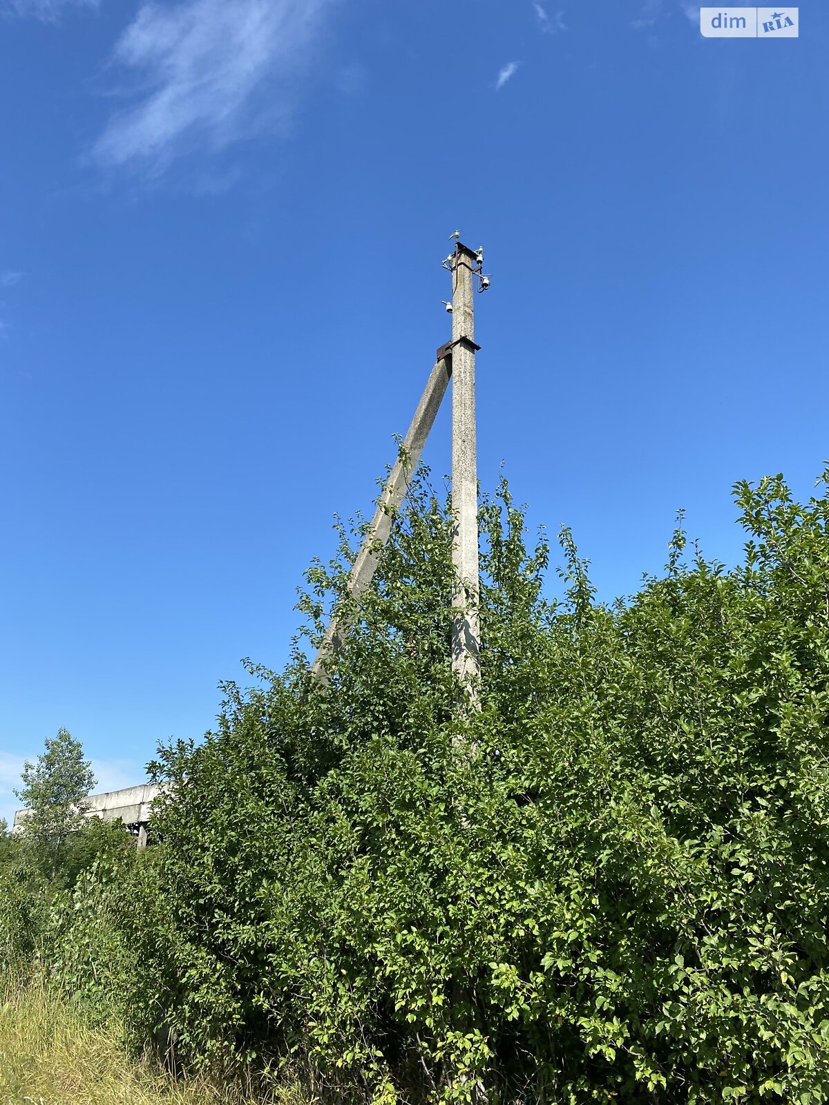 Земельна ділянка комерційного призначення в Чепі, площа 336 соток фото 1