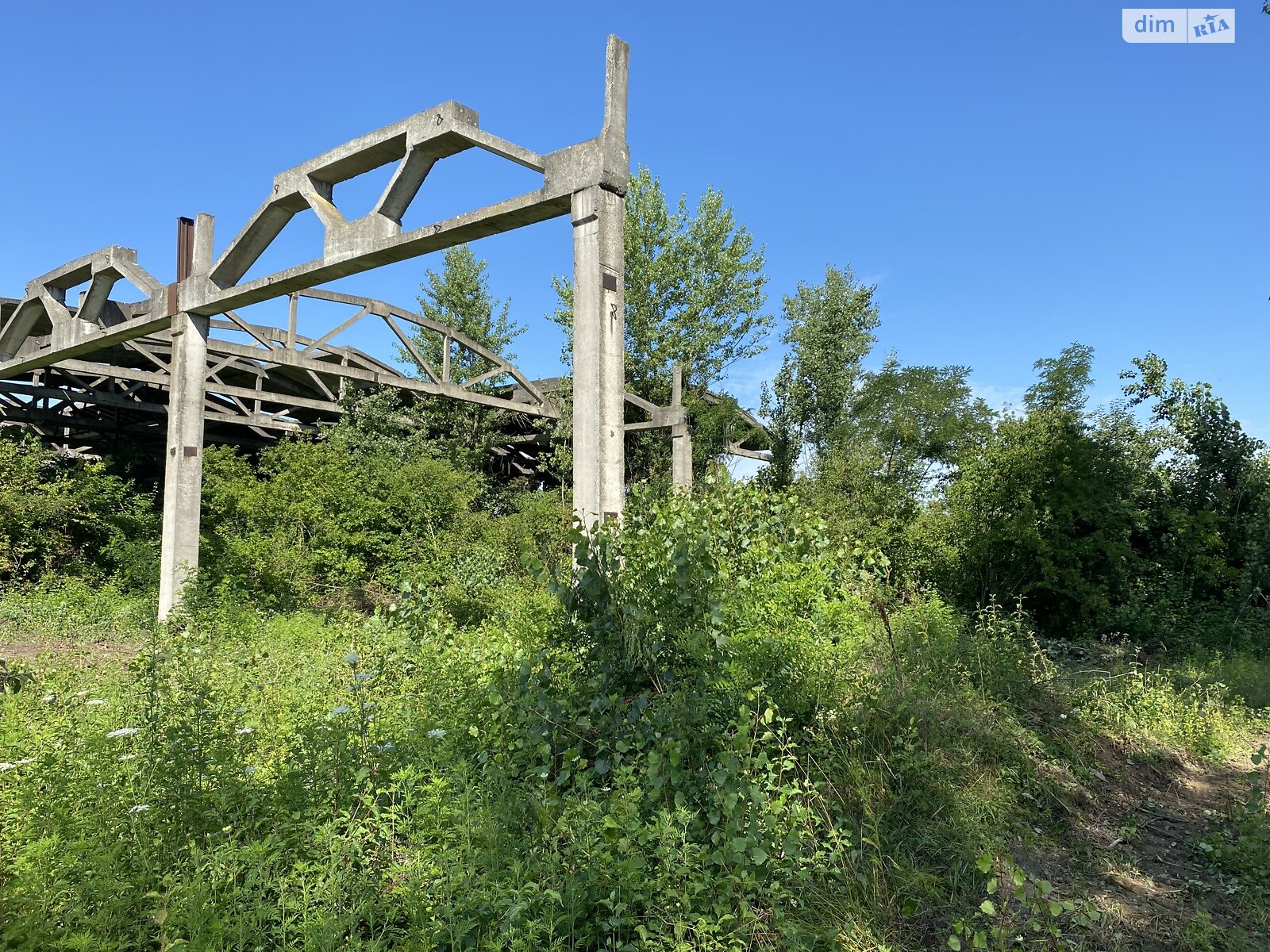 Земельна ділянка комерційного призначення в Чепі, площа 336 соток фото 1