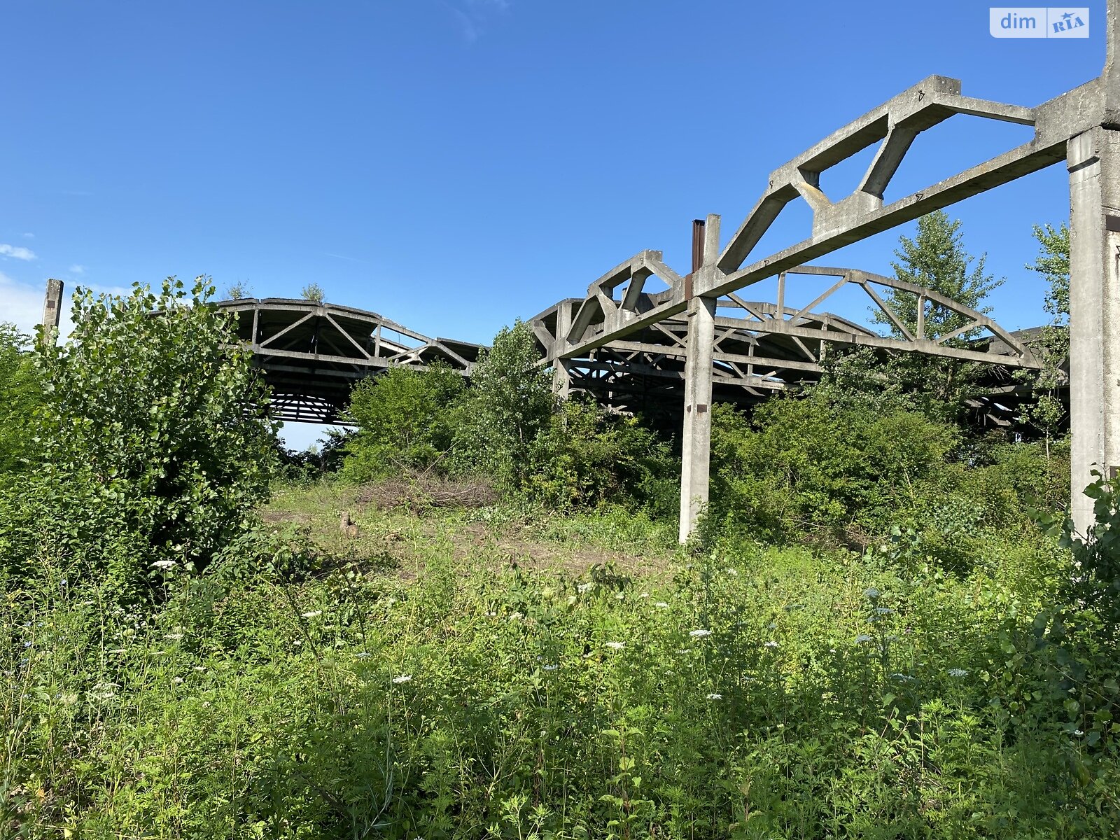 Земельна ділянка комерційного призначення в Чепі, площа 336 соток фото 1