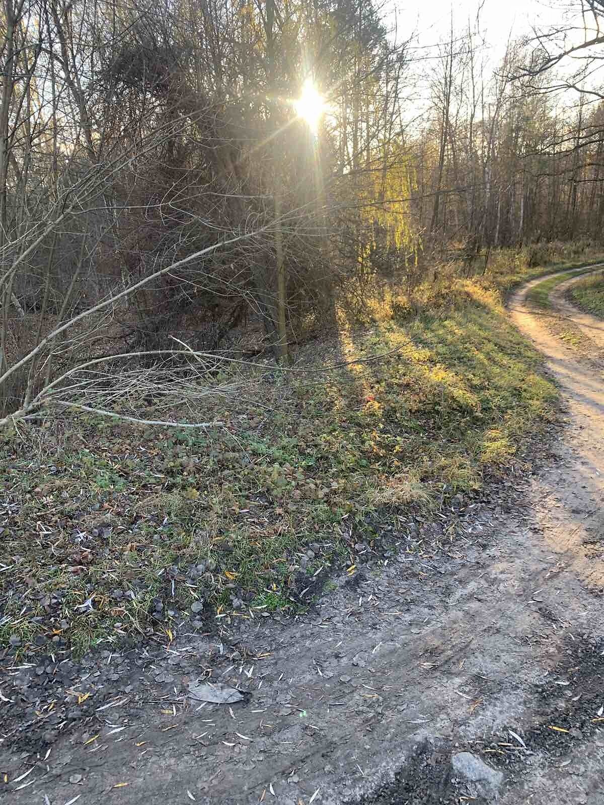 Земельный участок коммерческого назначения в Геронимовке, площадь 2.0208 Га фото 1 Земельный участок коммерческого назначения в Геронимовке, площадь 2.0208 Га фото 1