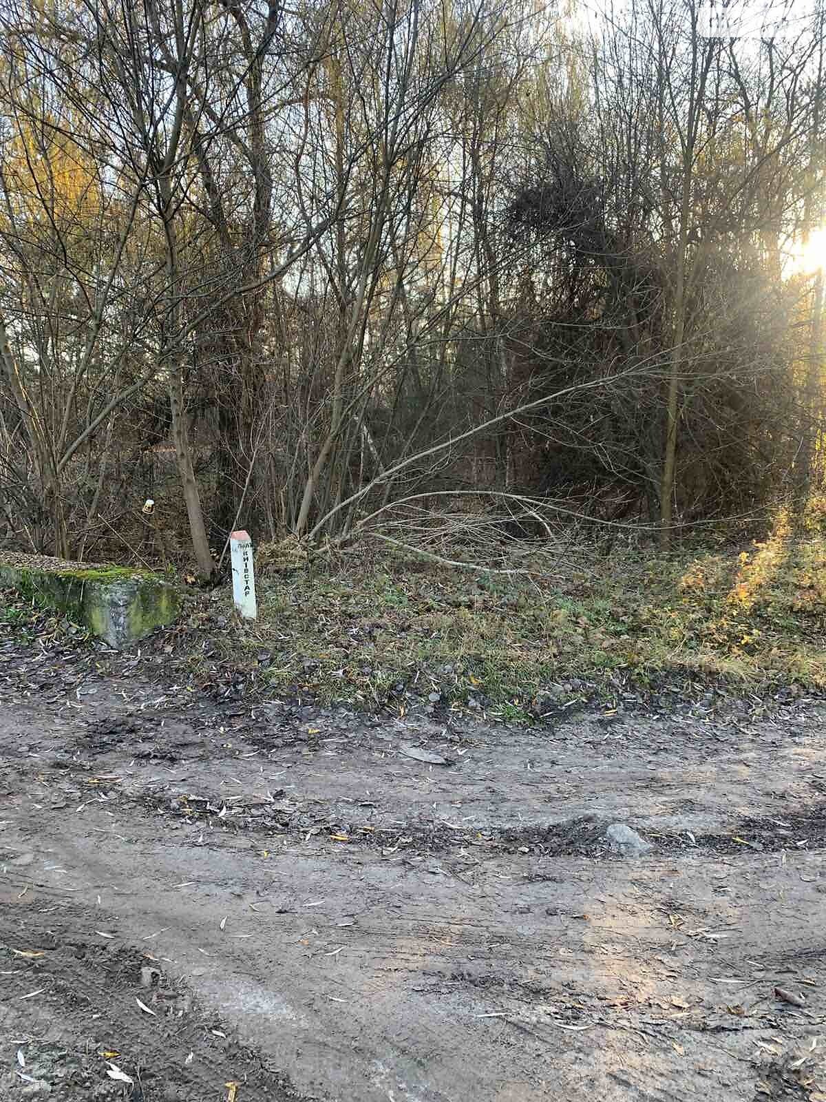 Земельный участок коммерческого назначения в Геронимовке, площадь 2.0208 Га фото 1 Земельный участок коммерческого назначения в Геронимовке, площадь 2.0208 Га фото 1