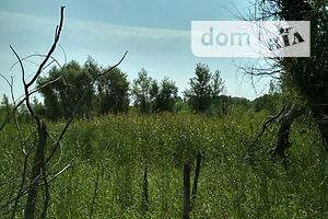 Земля коммерческого назначения в Черкассах, район Дахновка, площадь 1 Га фото 2