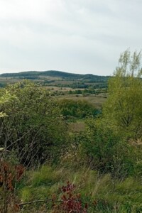 Земля коммерческого назначения в Черновцах, район Сторожинецкая, площадь 0.052 сотки фото 2