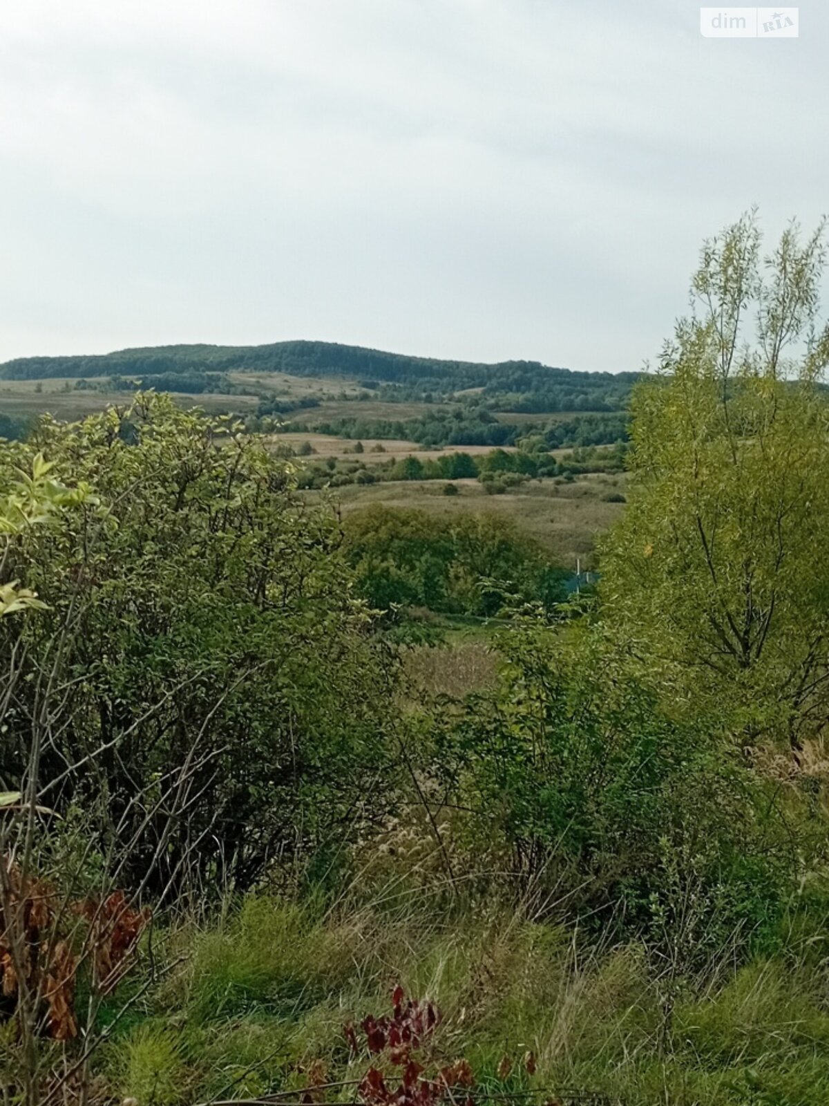 Земля комерційного призначення в Чернівцях, район Сторожинецька, площа 0.052 сотки фото 1