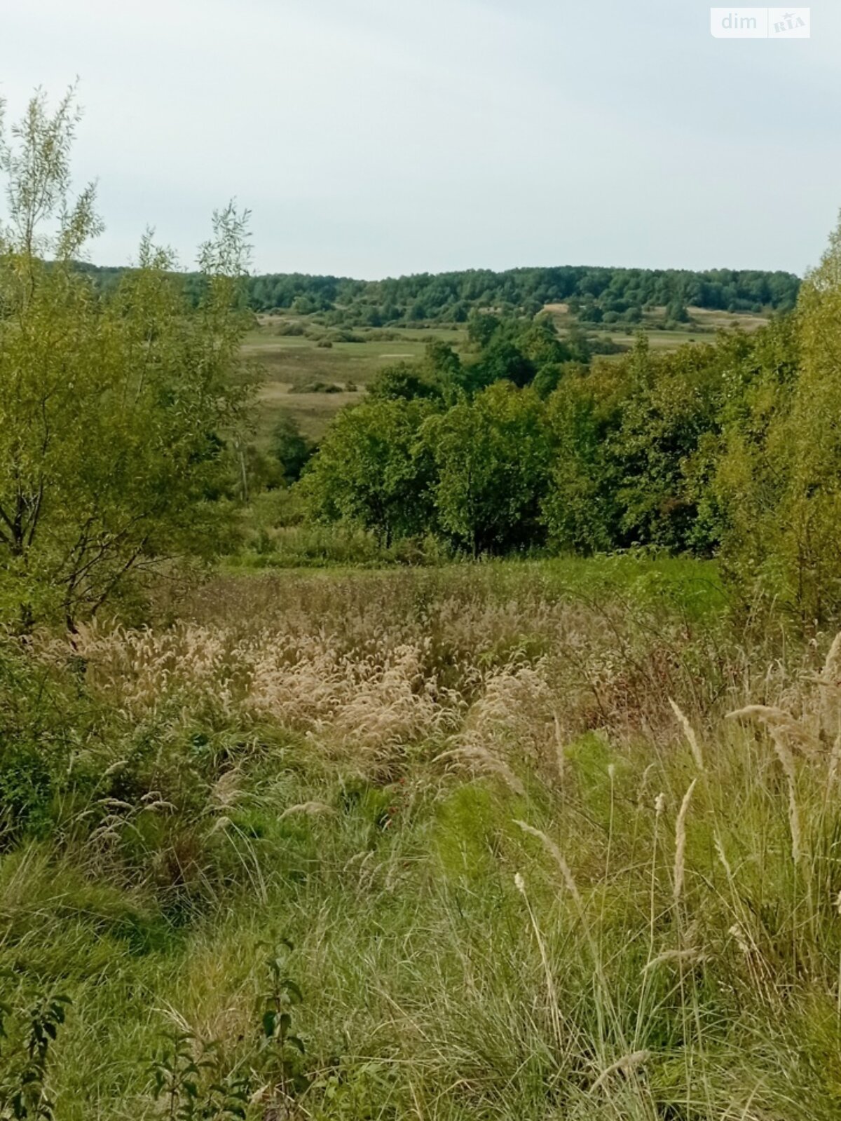 Земля коммерческого назначения в Черновцах, район Сторожинецкая, площадь 0.052 сотки фото 1