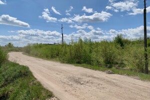 Земельна ділянка комерційного призначення в Давидові, площа 30.7 сотки фото 2