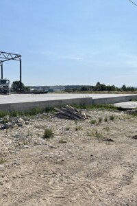 Земельна ділянка комерційного призначення в Давидові, площа 0.0094 Га фото 2