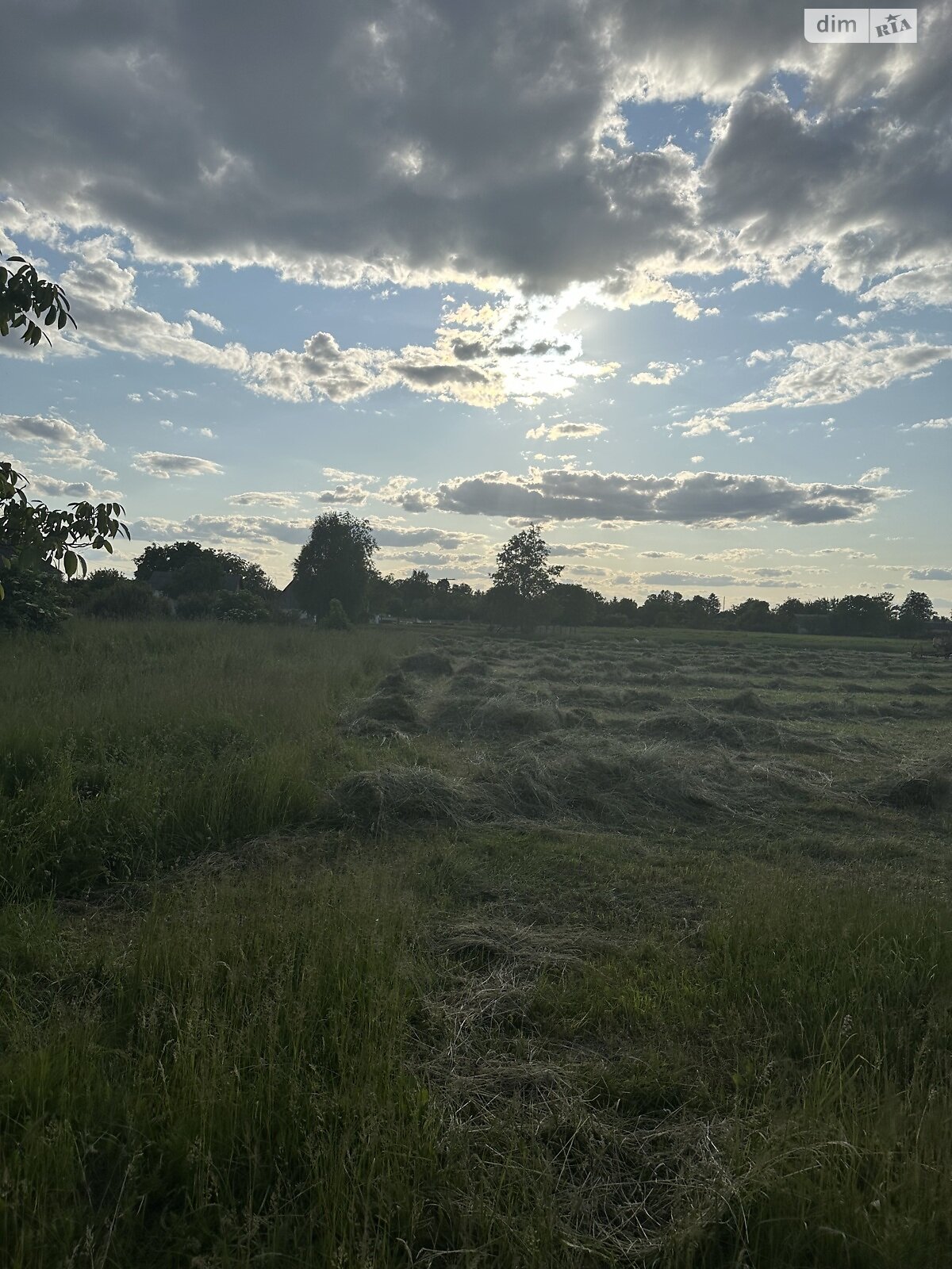 Земельна ділянка комерційного призначення в Дідківцях, площа 100 соток фото 1