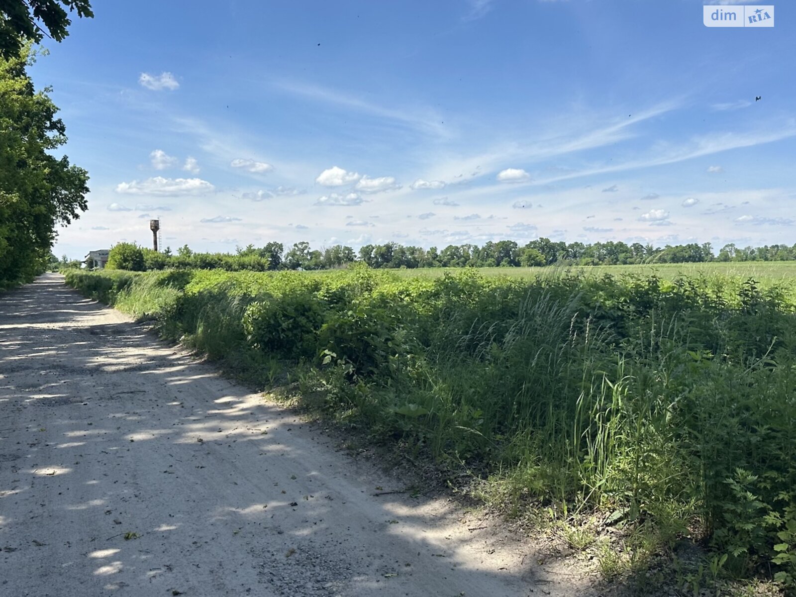 Земельна ділянка комерційного призначення в Десні, площа 2.1144 Га фото 1 Земельна ділянка комерційного призначення в Десні, площа 2.1144 Га фото 1