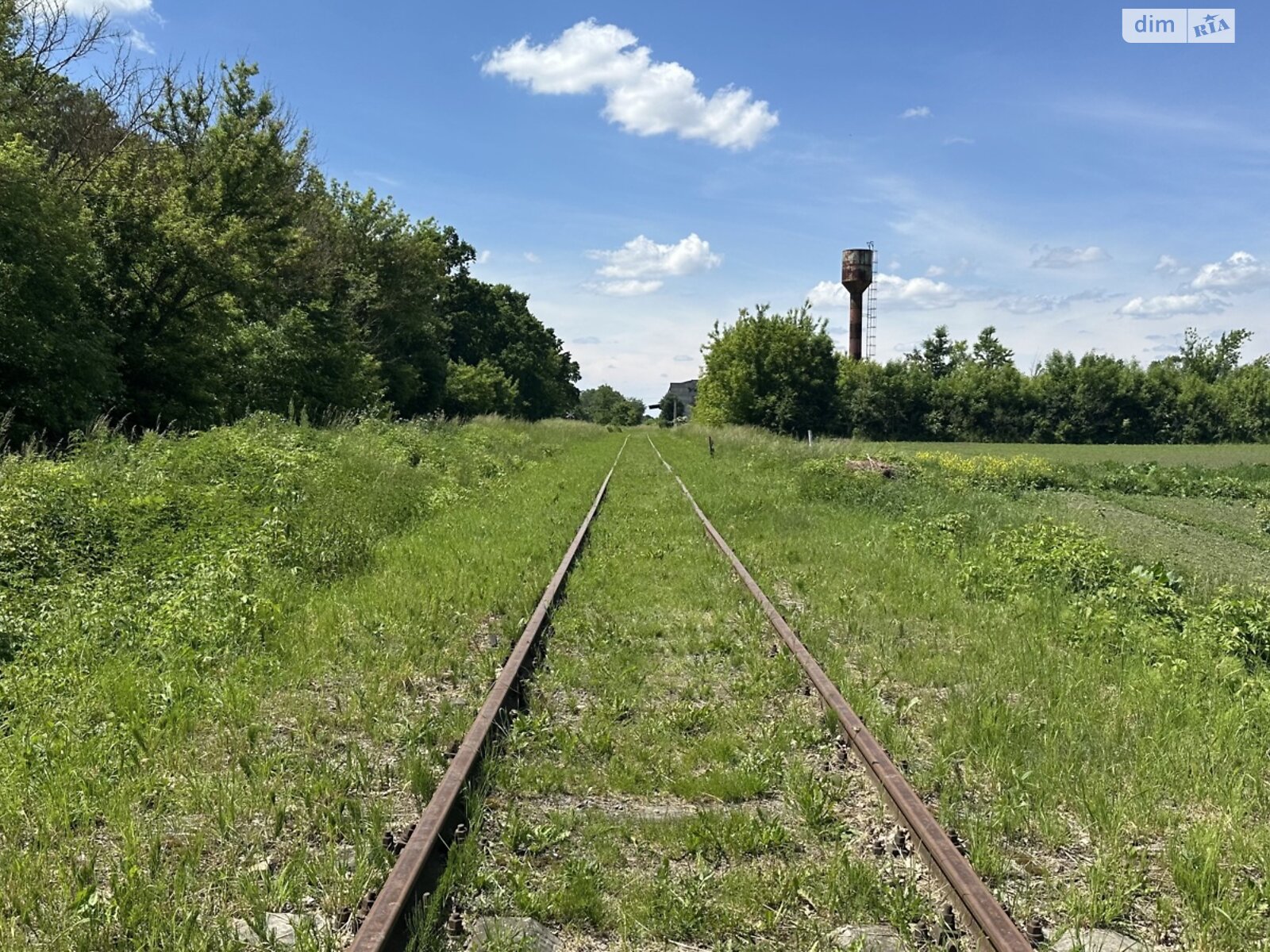 Земельна ділянка комерційного призначення в Десні, площа 2.1144 Га фото 1 Земельна ділянка комерційного призначення в Десні, площа 2.1144 Га фото 1