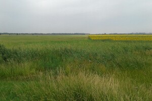 Земельна ділянка комерційного призначення в Слобожанському, площа 1.7 Га фото 1