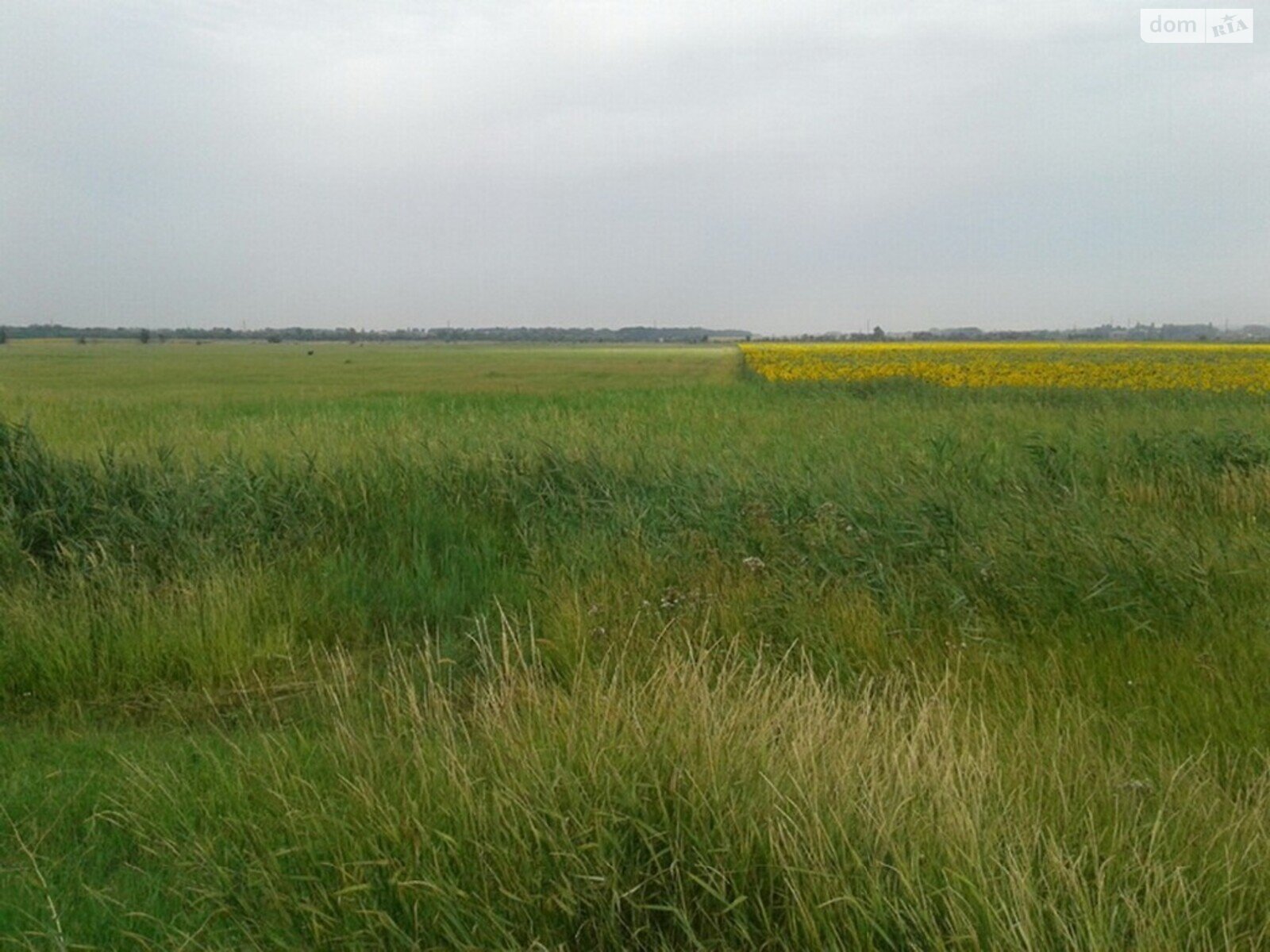 Земельна ділянка комерційного призначення в Слобожанському, площа 1.7 Га фото 1