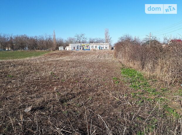 Земля коммерческого назначения в селе Братолюбовка, площадь 41 сотка фото 1 Земля коммерческого назначения в селе Братолюбовка, площадь 41 сотка фото 1
