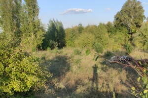 Земельна ділянка комерційного призначення в Дубиновому, площа 1.29 Га фото 2