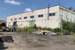 Земельна ділянка комерційного призначення в Дублянах, площа 100 соток фото 2