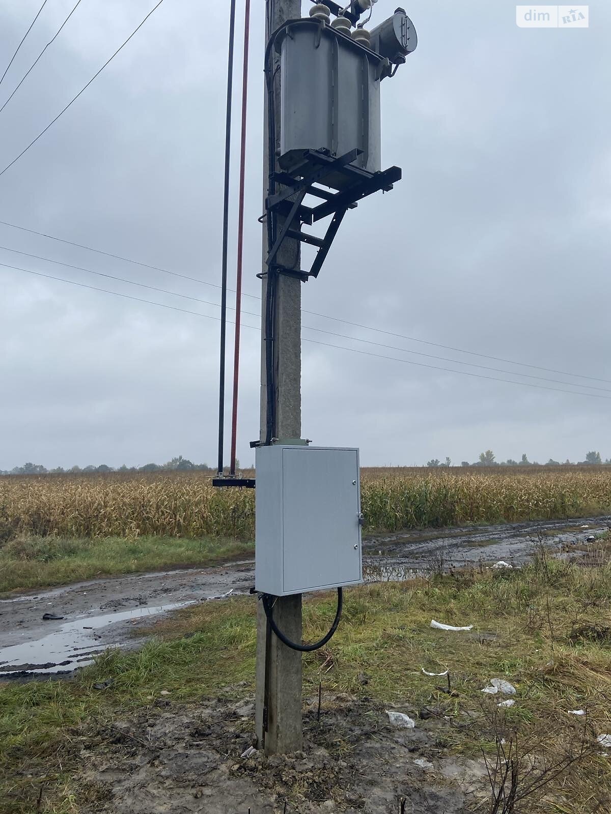 Земельный участок коммерческого назначения в Дворце, площадь 30 соток фото 1 Земельный участок коммерческого назначения в Дворце, площадь 30 соток фото 1