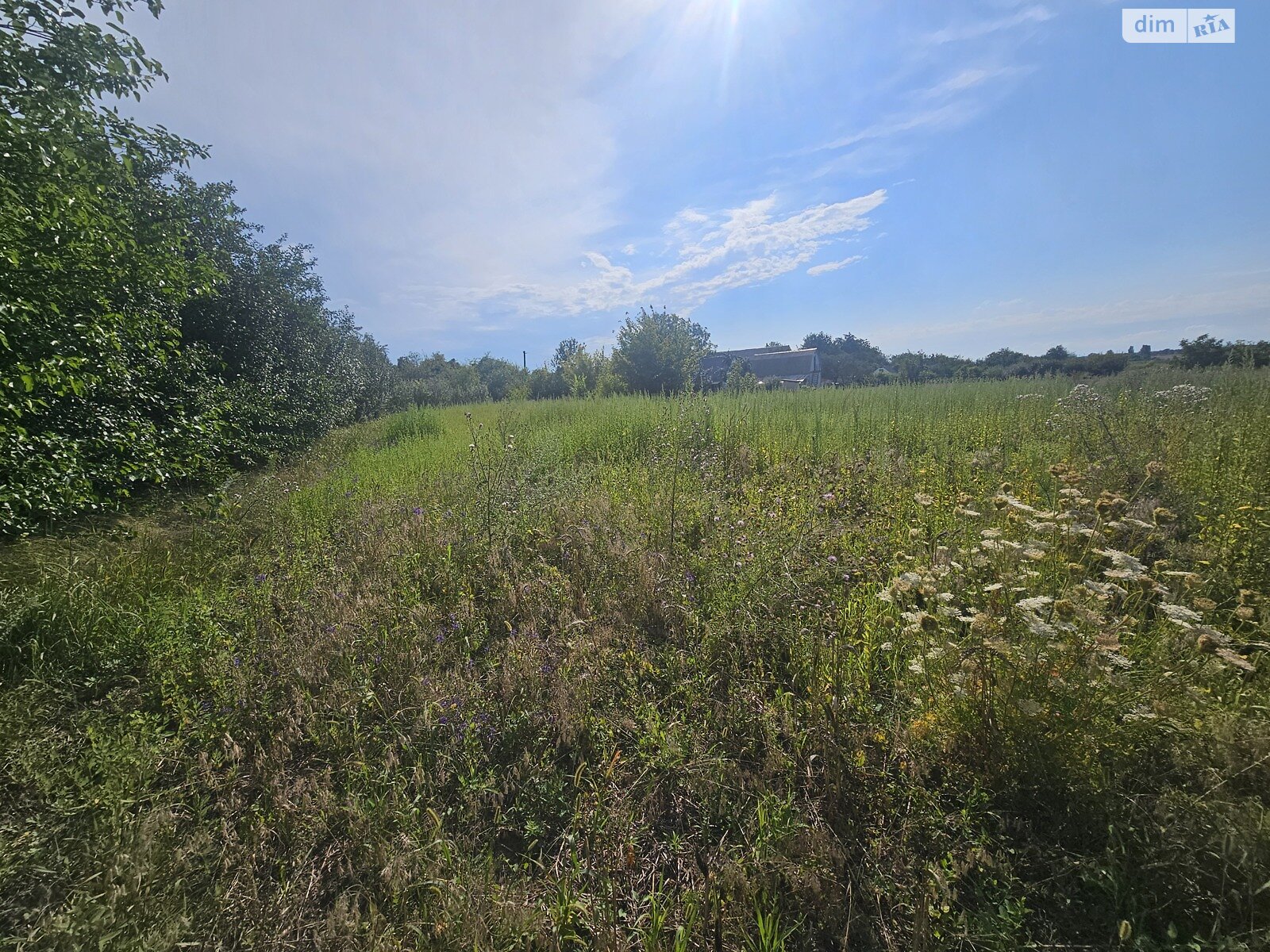 Земельный участок коммерческого назначения в Глыбочке, площадь 43.08 сотки фото 1