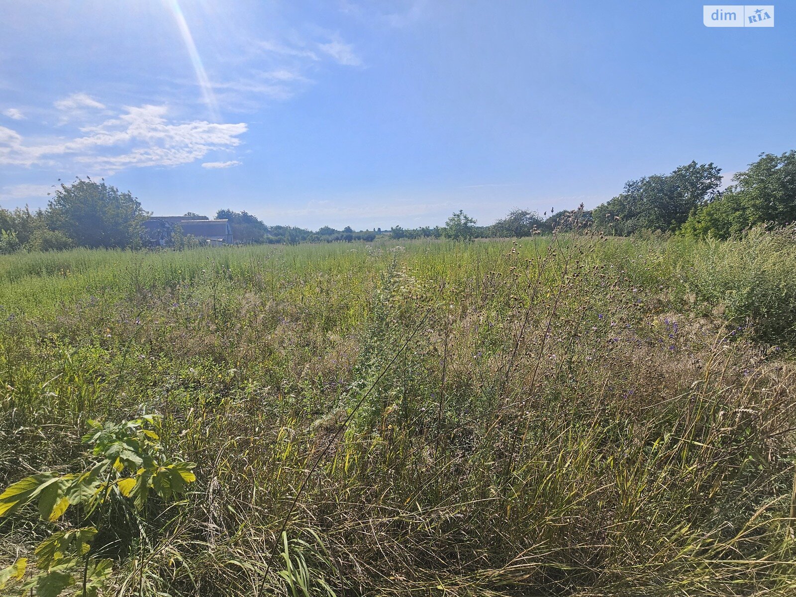 Земельный участок коммерческого назначения в Глыбочке, площадь 43.08 сотки фото 1