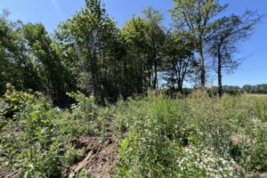 Земельный участок коммерческого назначения в Горбановке, площадь 2 Га фото 2 Земельный участок коммерческого назначения в Горбановке, площадь 2 Га фото 2