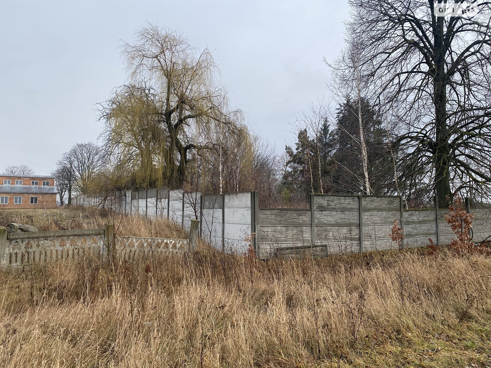 Земельна ділянка комерційного призначення в Горбанівці, площа 65 соток фото 1 Земельна ділянка комерційного призначення в Горбанівці, площа 65 соток фото 1