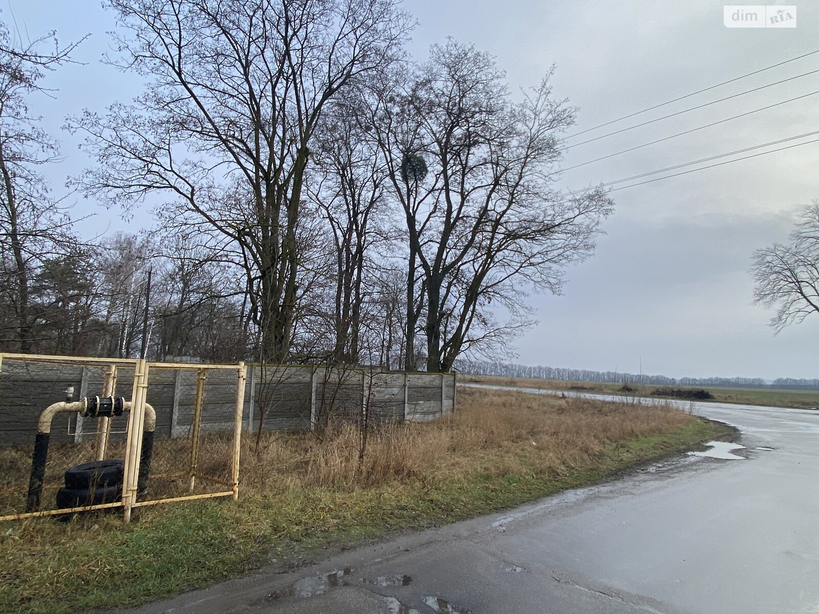 Земельна ділянка комерційного призначення в Горбанівці, площа 65 соток фото 1 Земельна ділянка комерційного призначення в Горбанівці, площа 65 соток фото 1