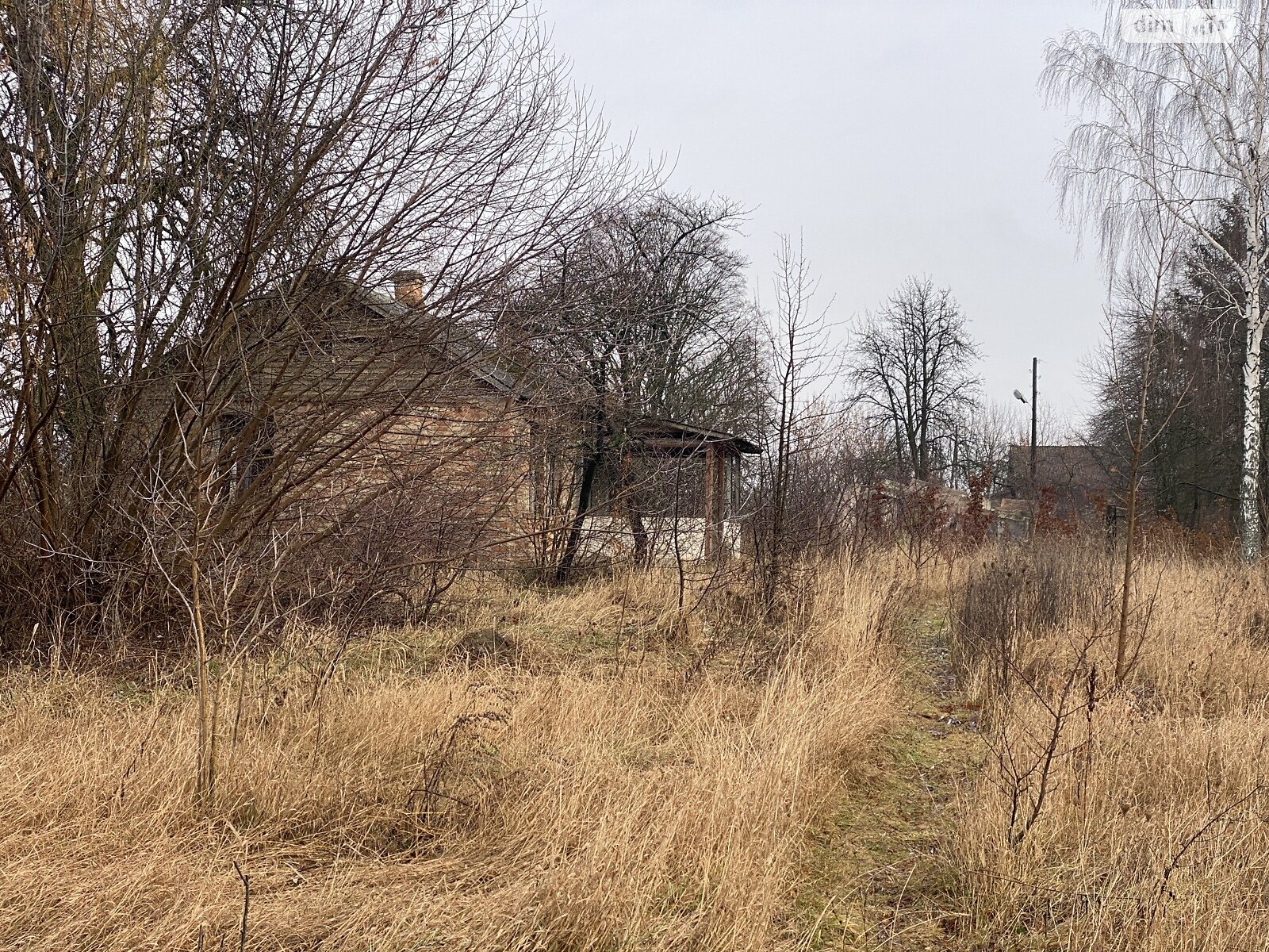 Земельна ділянка комерційного призначення в Горбанівці, площа 65 соток фото 1 Земельна ділянка комерційного призначення в Горбанівці, площа 65 соток фото 1