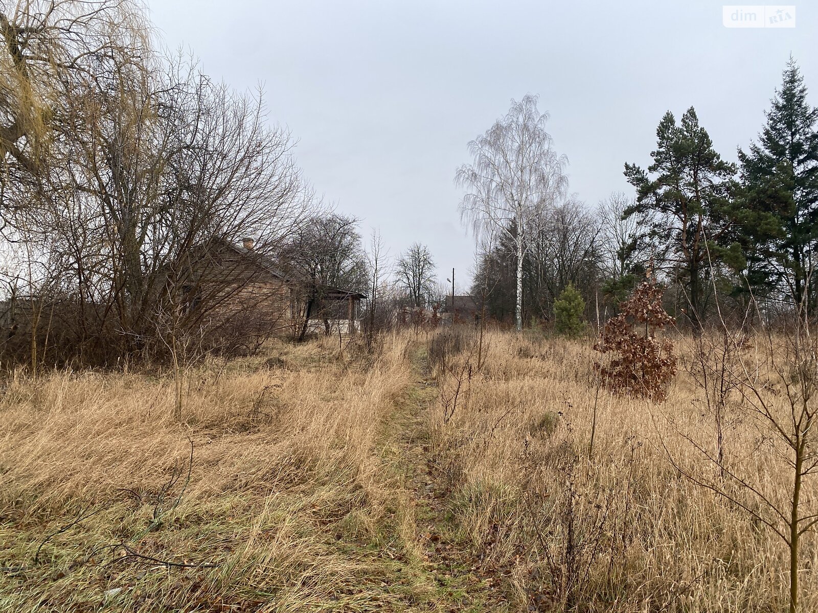 Земельна ділянка комерційного призначення в Горбанівці, площа 65 соток фото 1 Земельна ділянка комерційного призначення в Горбанівці, площа 65 соток фото 1