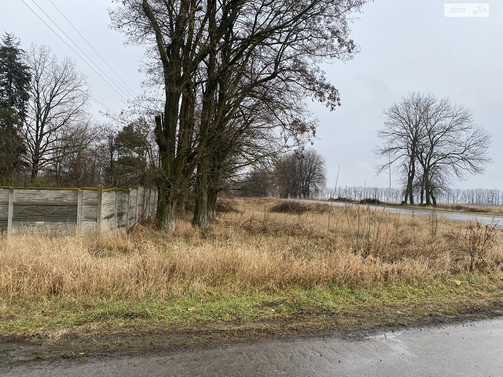 Земельна ділянка комерційного призначення в Горбанівці, площа 65 соток фото 1 Земельна ділянка комерційного призначення в Горбанівці, площа 65 соток фото 1