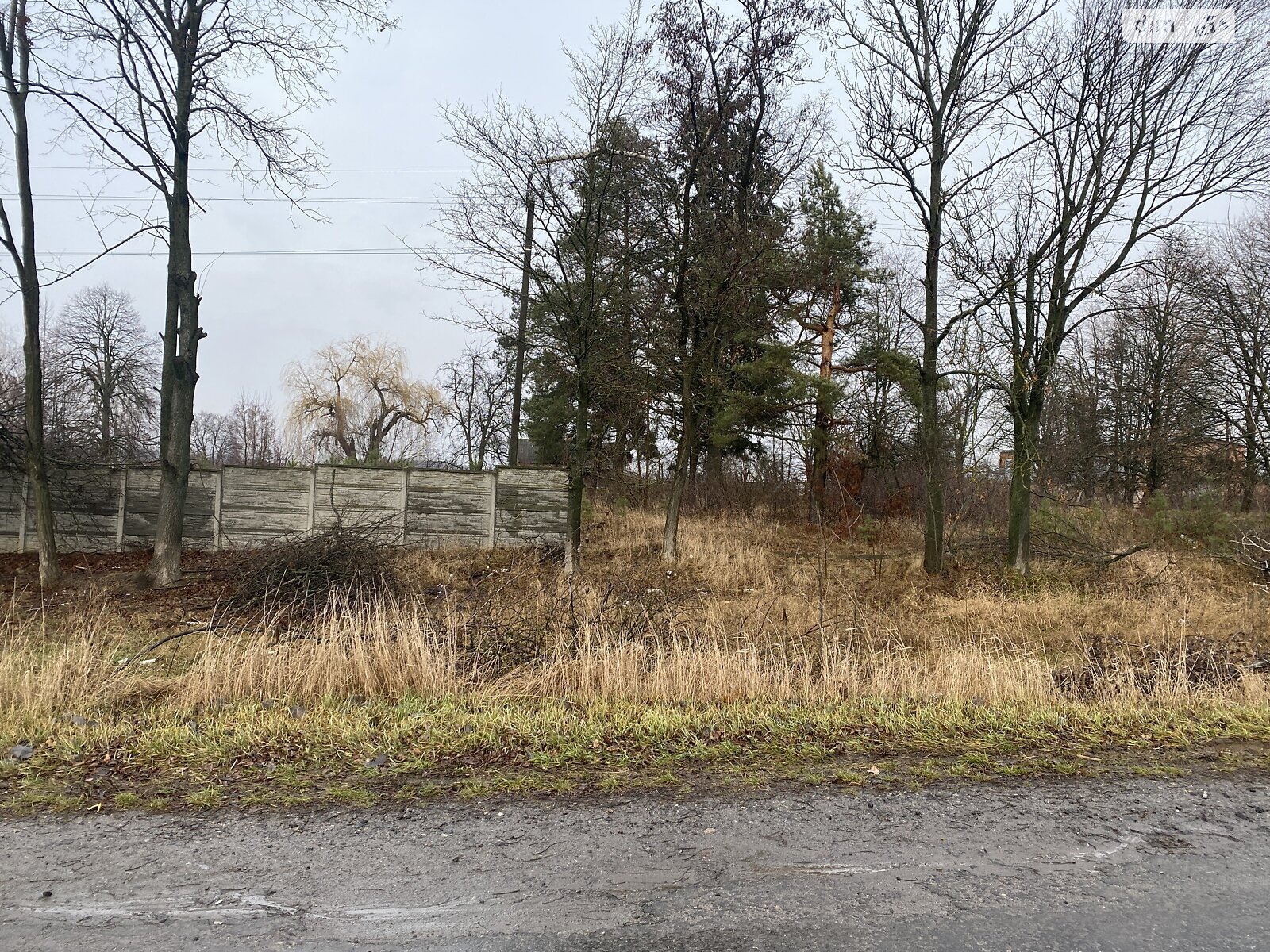 Земельна ділянка комерційного призначення в Горбанівці, площа 65 соток фото 1 Земельна ділянка комерційного призначення в Горбанівці, площа 65 соток фото 1